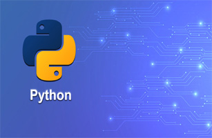 Python Training